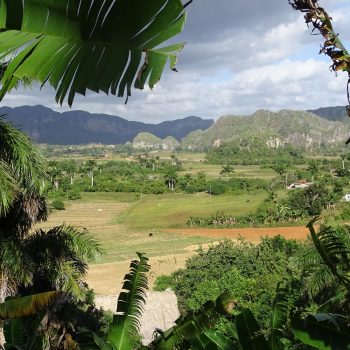 De prachtige natuur in de regio Pinar del Rio. 